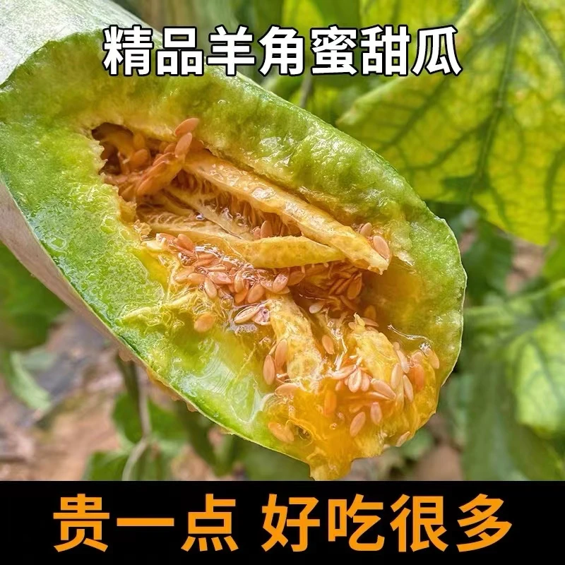 【京东快递】山东头茬羊角蜜瓜水果新鲜3/4.5斤香瓜蜜瓜香甜羊角脆