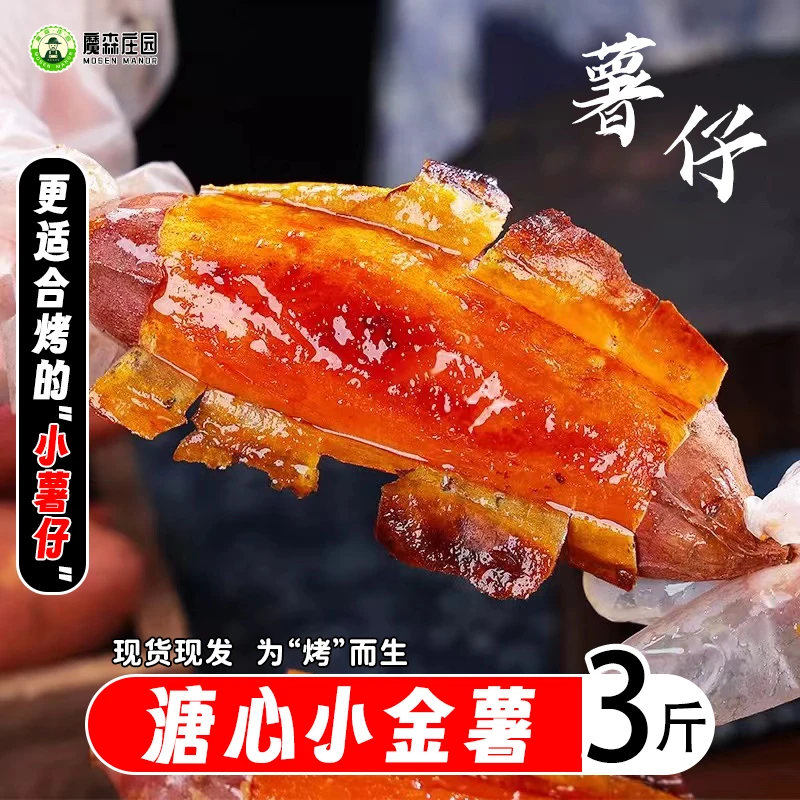 【小薯仔】山东溏心小金薯流油红薯烟薯25现挖现发蜜薯3斤