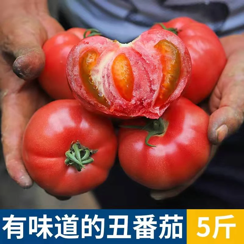 BEI DOU BEAR/北斗熊新鲜普罗旺斯自然熟沙瓤西红柿4.5斤