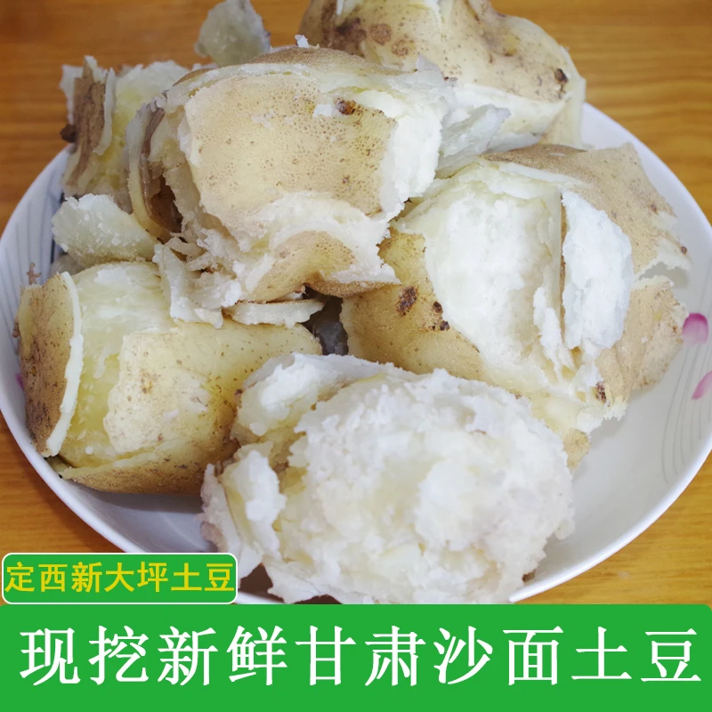 25年新鲜现挖甘肃定西旱沙地白芯土豆5-9斤装沙面马铃薯洋芋