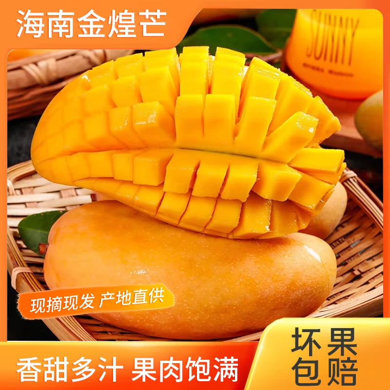 催熟放软海南金煌芒皮薄肉厚带箱5斤大果3-6个单果400g+坏果包赔
