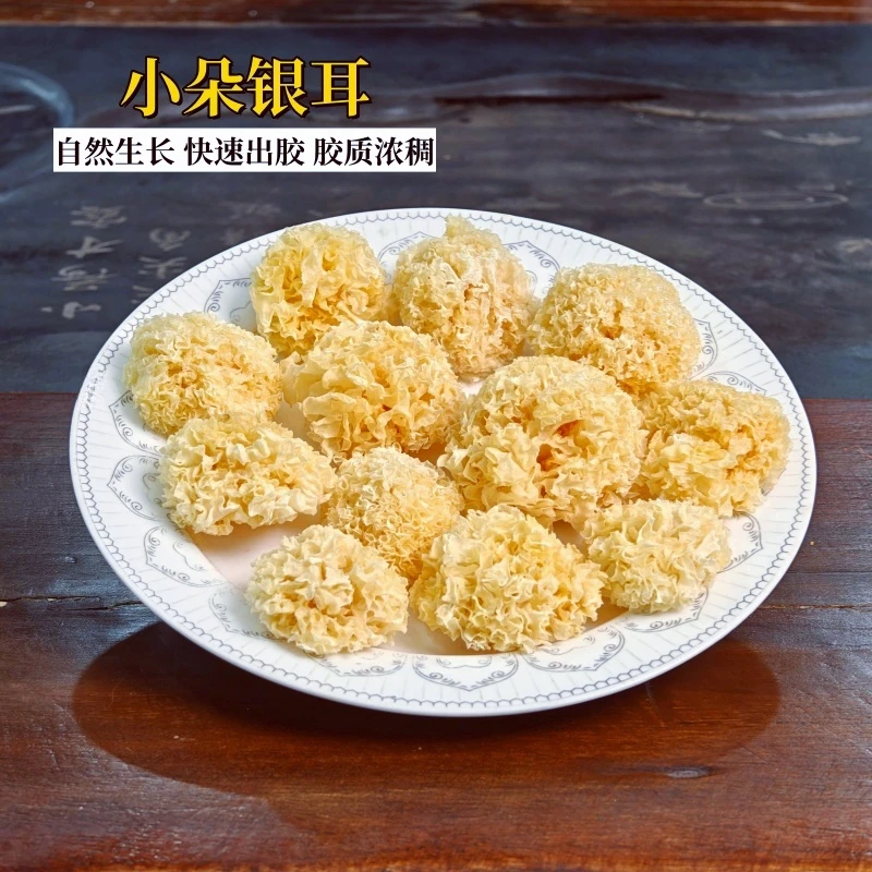 小朵银耳干货搭配出胶率高炖甜品煮粥凉拌