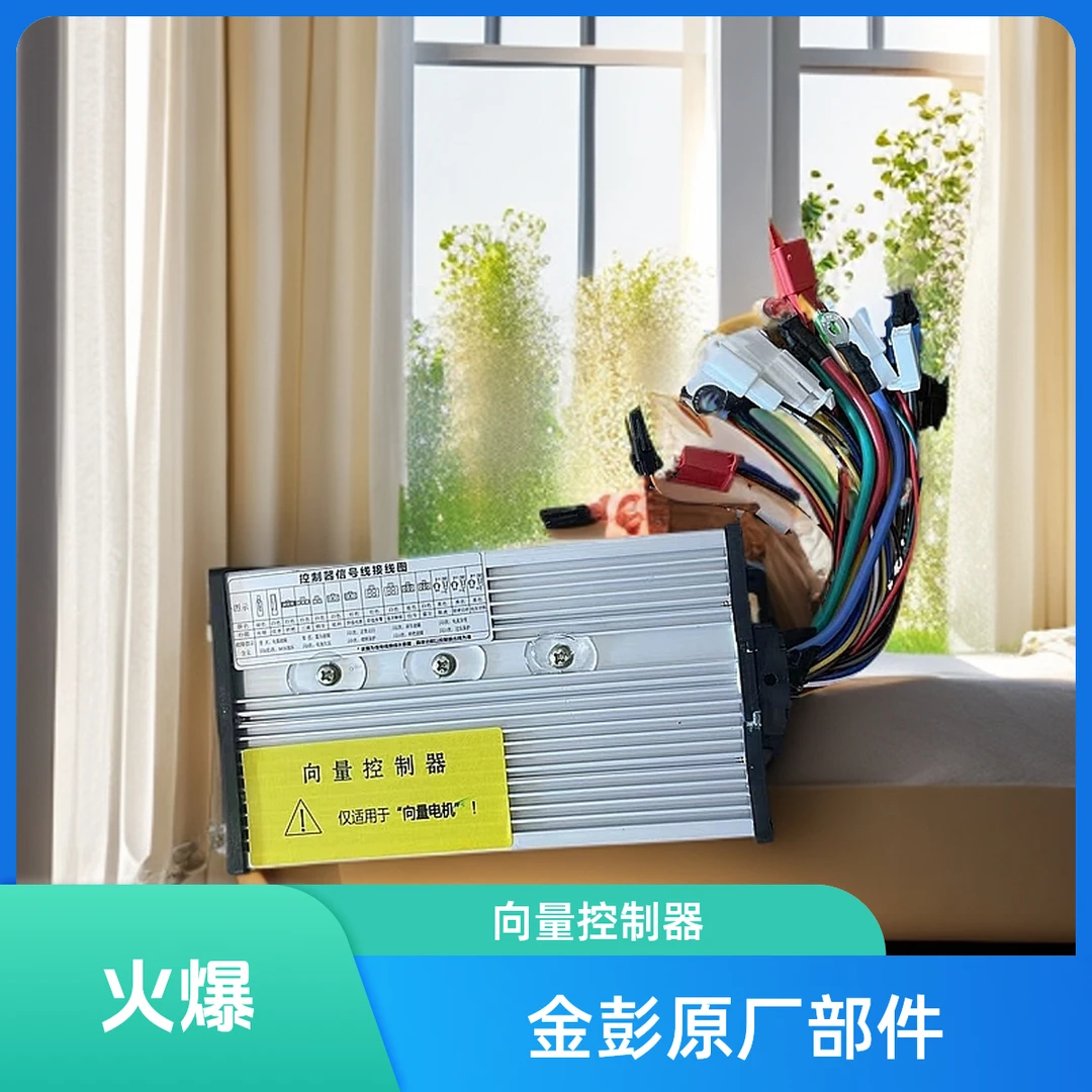 金彭原厂向量48/60W控制器（2个）