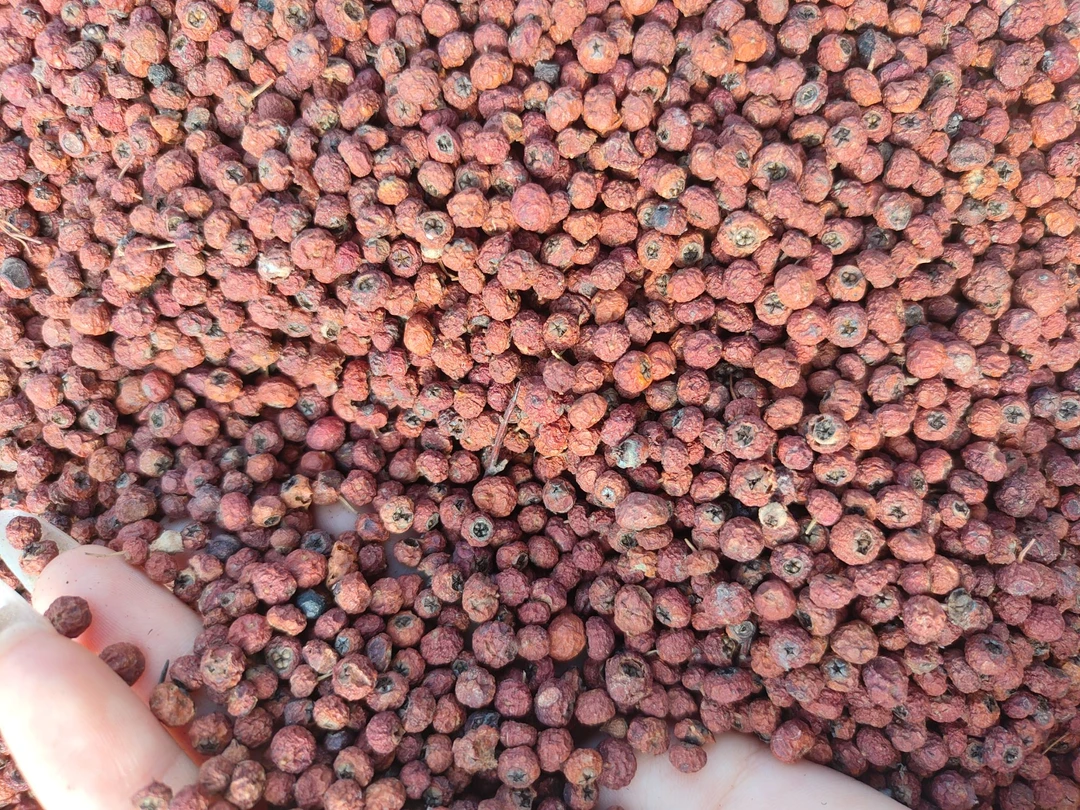 小张专属【土特产】紫-杉-果 250g-500g