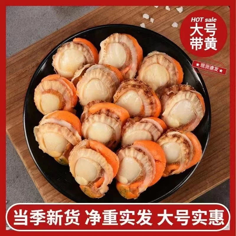 连云港 大个无冰扇贝肉200g/包6包/10包扇贝肉