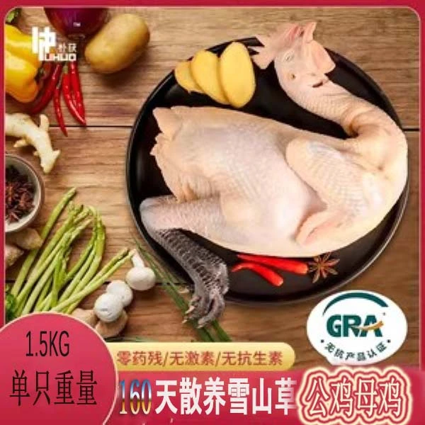 雪山草鸡3斤以上发货肉质鲜美冷鲜发货