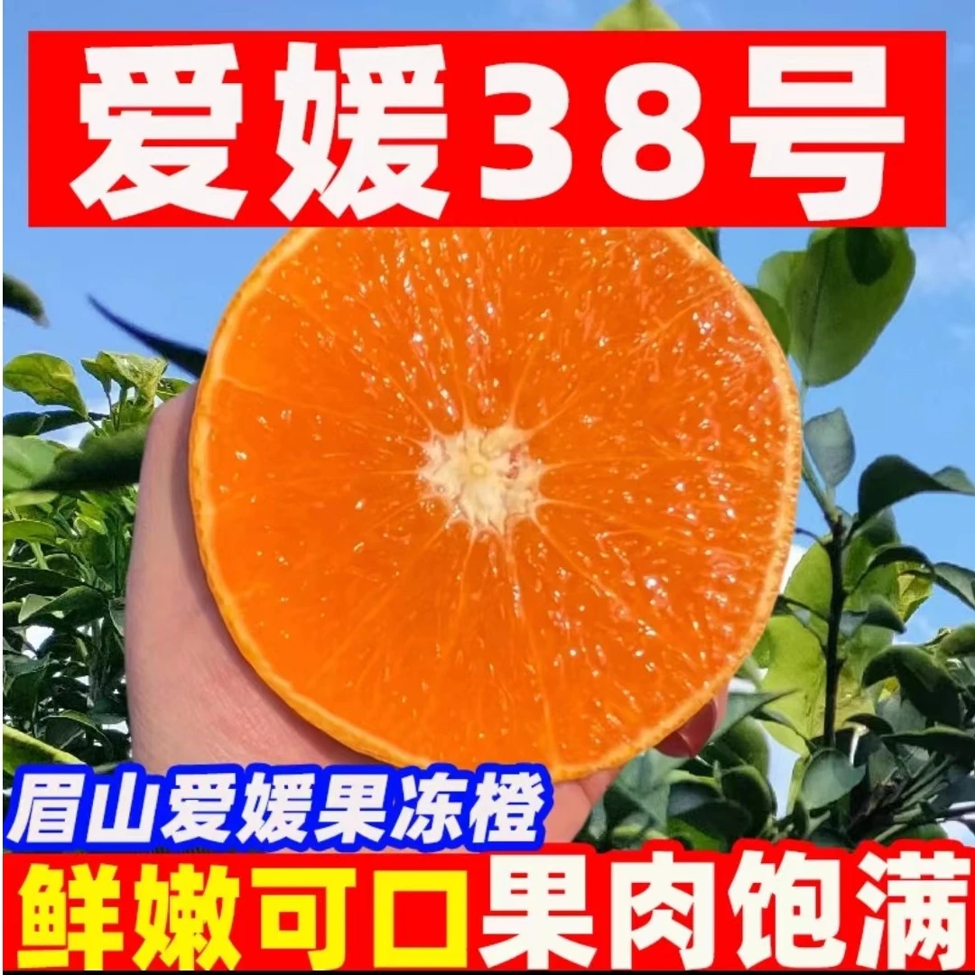 FG 鲜橙 头茬眉山爱媛38号果冻橙 新鲜水果 皮薄爆汁酸甜可口