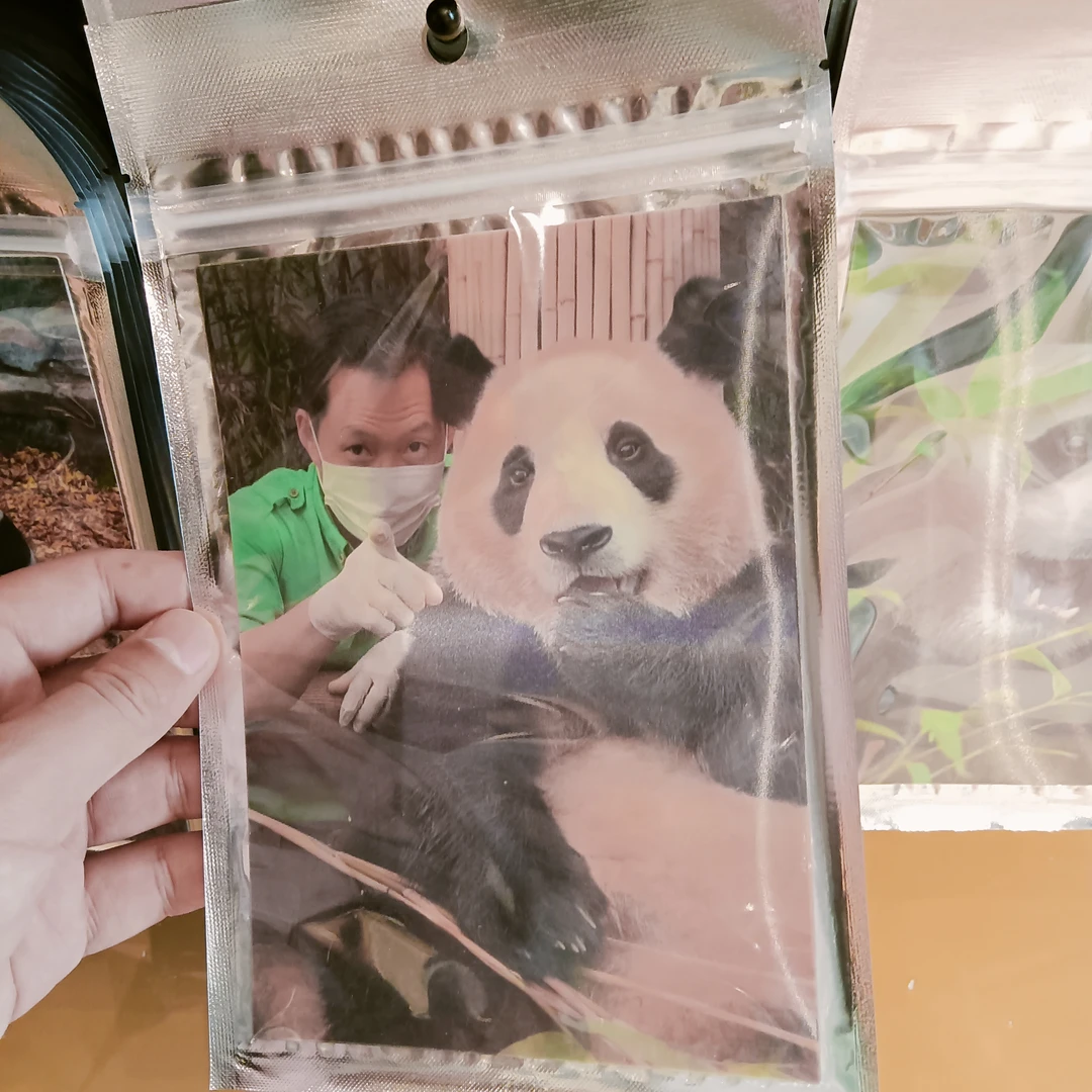 爱宝乐园采购福宝卡片