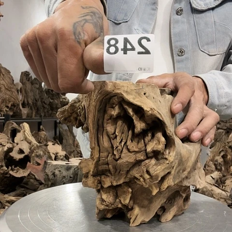 @***毛紫砂噜啦啦啦啦啦啦