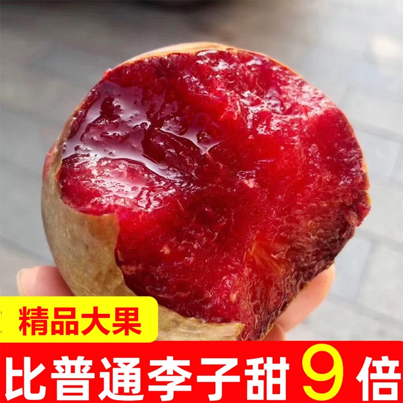 嵊州桃形李时令新鲜现摘脆甜浙江红心李子精选特大果礼盒多汁脆皮