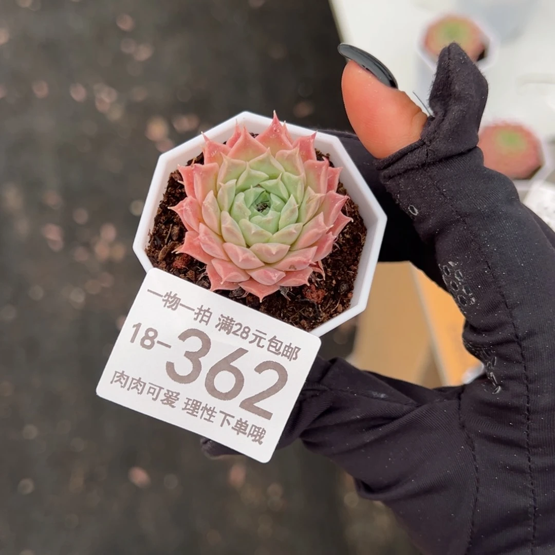【闪购商品】用****6留财单头