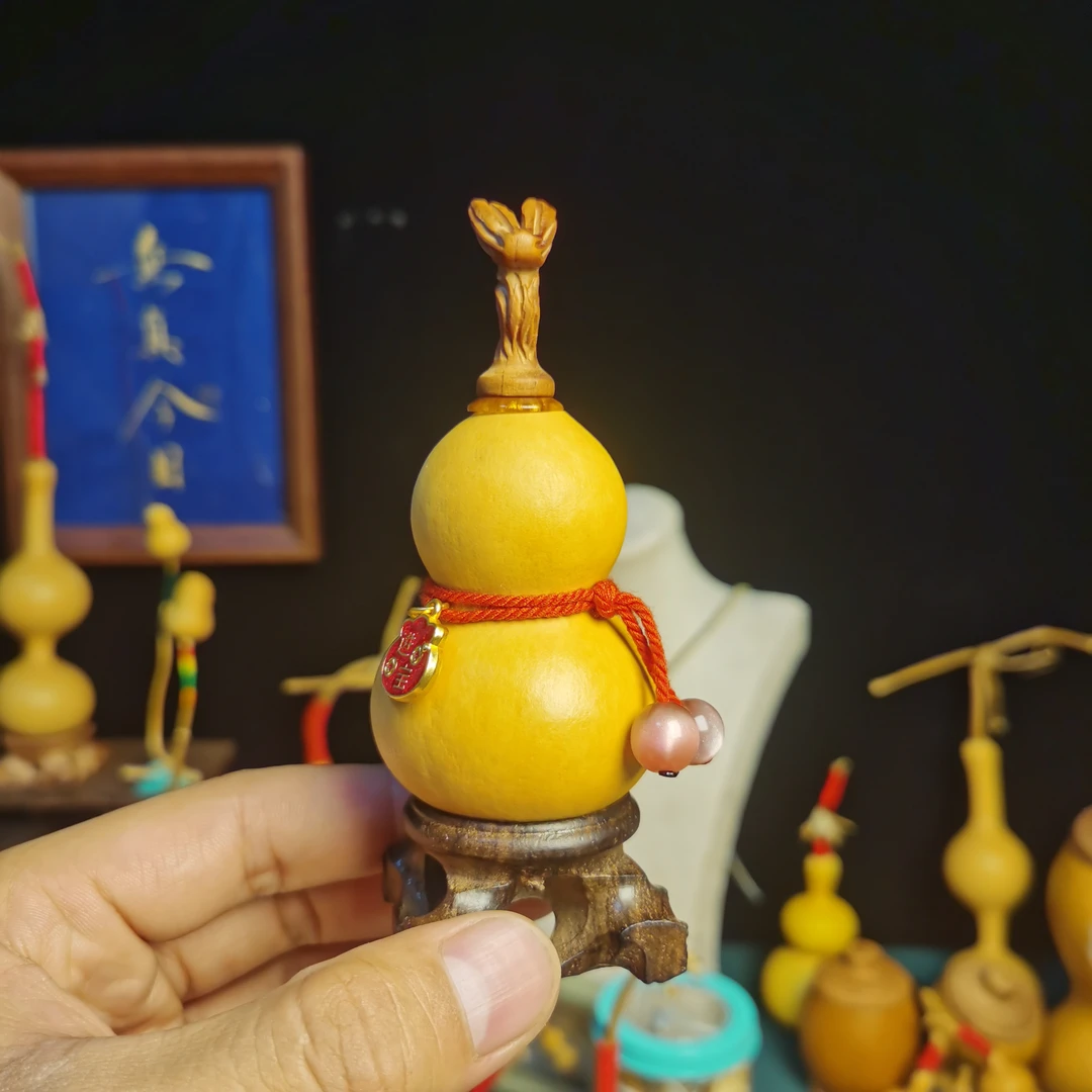 养剑葫芦《直播间选品专用链接》