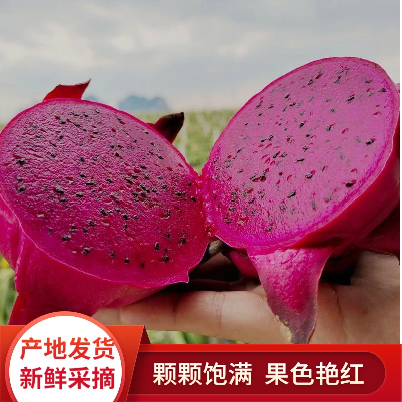 【店家推荐】广西金都一号红心火龙果新鲜皮薄汁水果多产地直发包邮