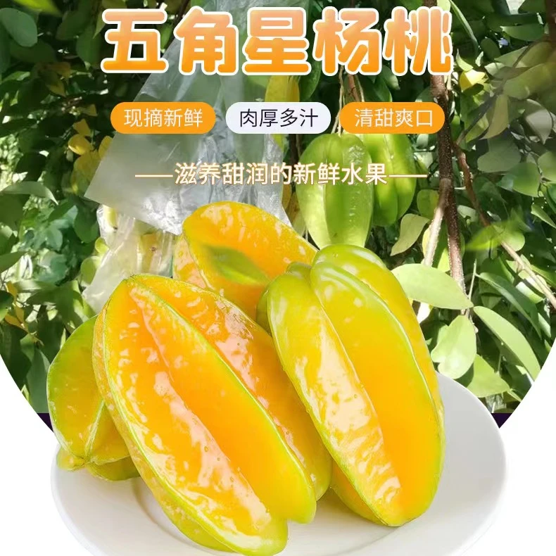广东甜杨桃特大果新鲜整箱包邮应当季洋桃红扬桃五角星阳桃