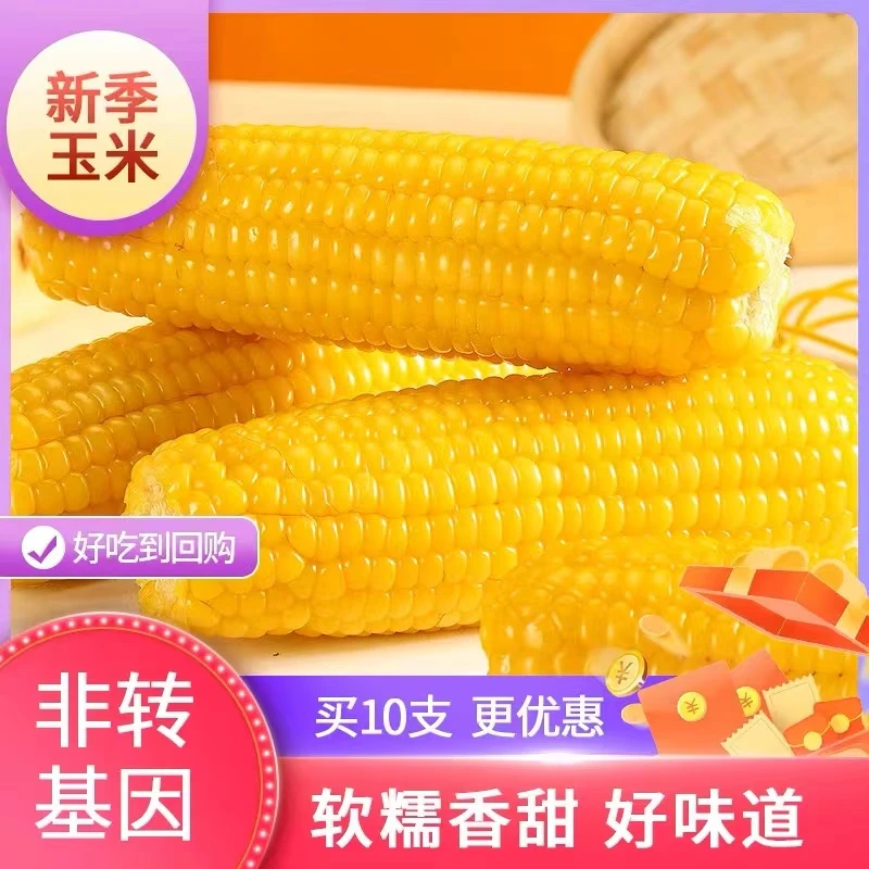 【铝箔262】东北采摘黄玉米香甜软糯拉丝黄糯玉米10支装（整箱5斤）