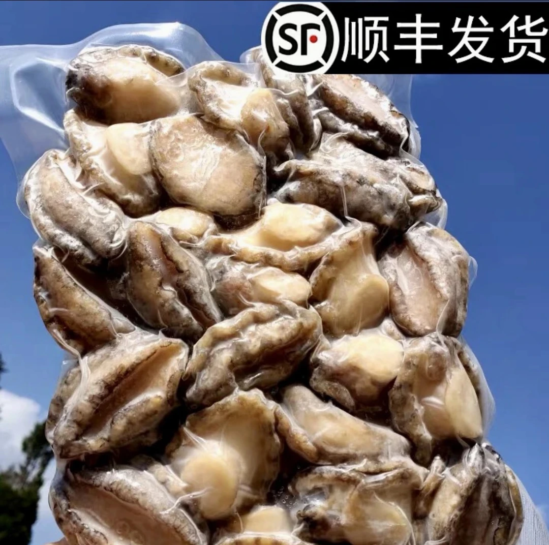 【恒昌精选】脱壳鲍鱼肉收到速冻储存称重产品