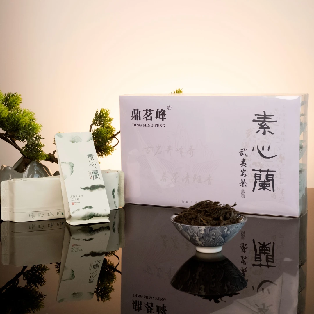 【素心兰】弥陀岩素心兰名丛幽幽兰花香香气馥郁七天无理由退换