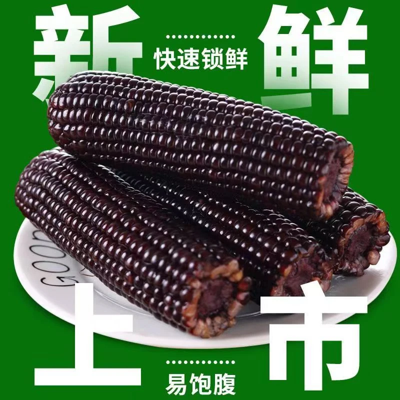 【24年当季黑糯玉米】真空包装粗粮软糯香粘230g-260g*10根新鲜可口