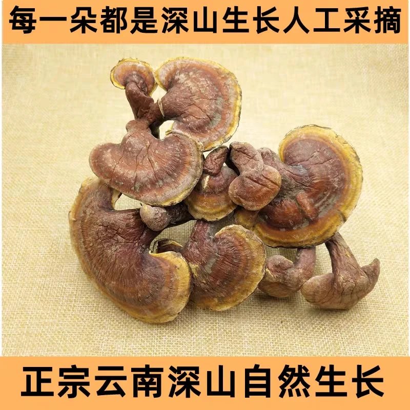 云南高原，林，之，菌，泡水煮水煲汤农产品250g