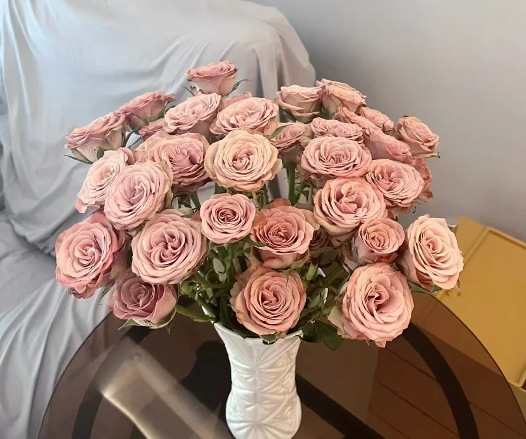 鲜花 多头玫瑰  卡布奇洛10支（2支不售后）任意两单包邮