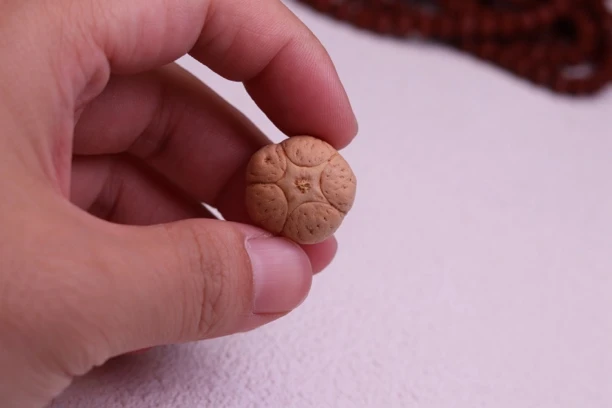 【顶级·五星上将】 2024年纯正尼泊尔五星上将。