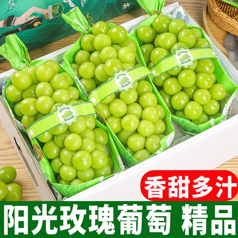 【顺丰，京东发】L四川阳光玫瑰新鲜采摘发货半斤3斤5斤整串新鲜发货