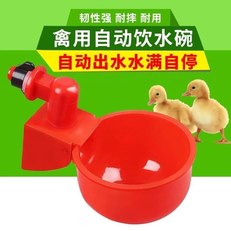 家禽自动饮水器鸡鸭鹅自动水碗加厚喂水器鸽子鸡饮水器全自动新款