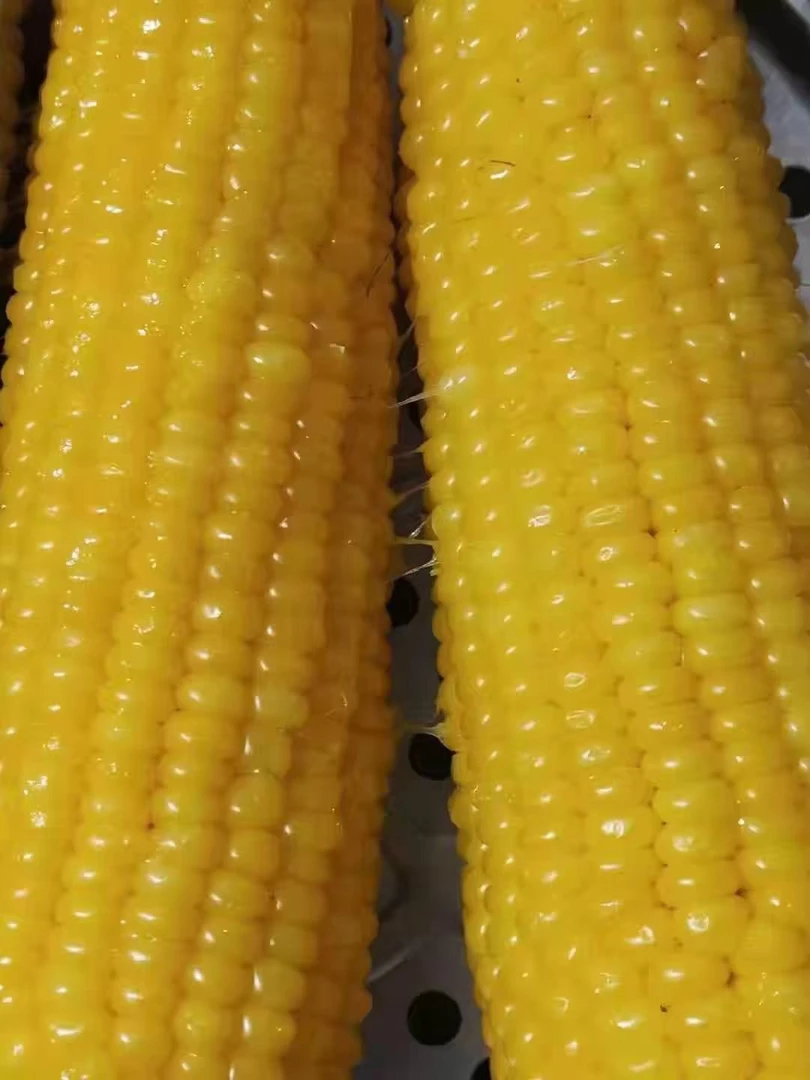 乐卖黄金拉丝玉米3个10元