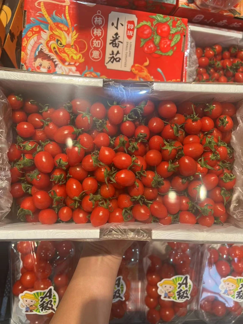 玲珑小番茄一箱