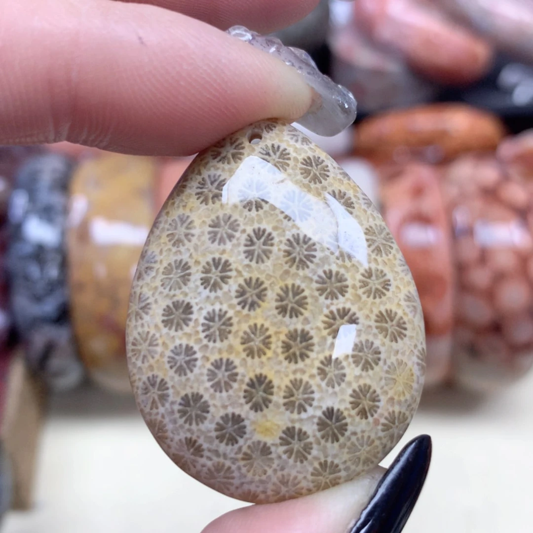 【闪购商品】硅化珊瑚（珊瑚玉）手链未镶嵌064