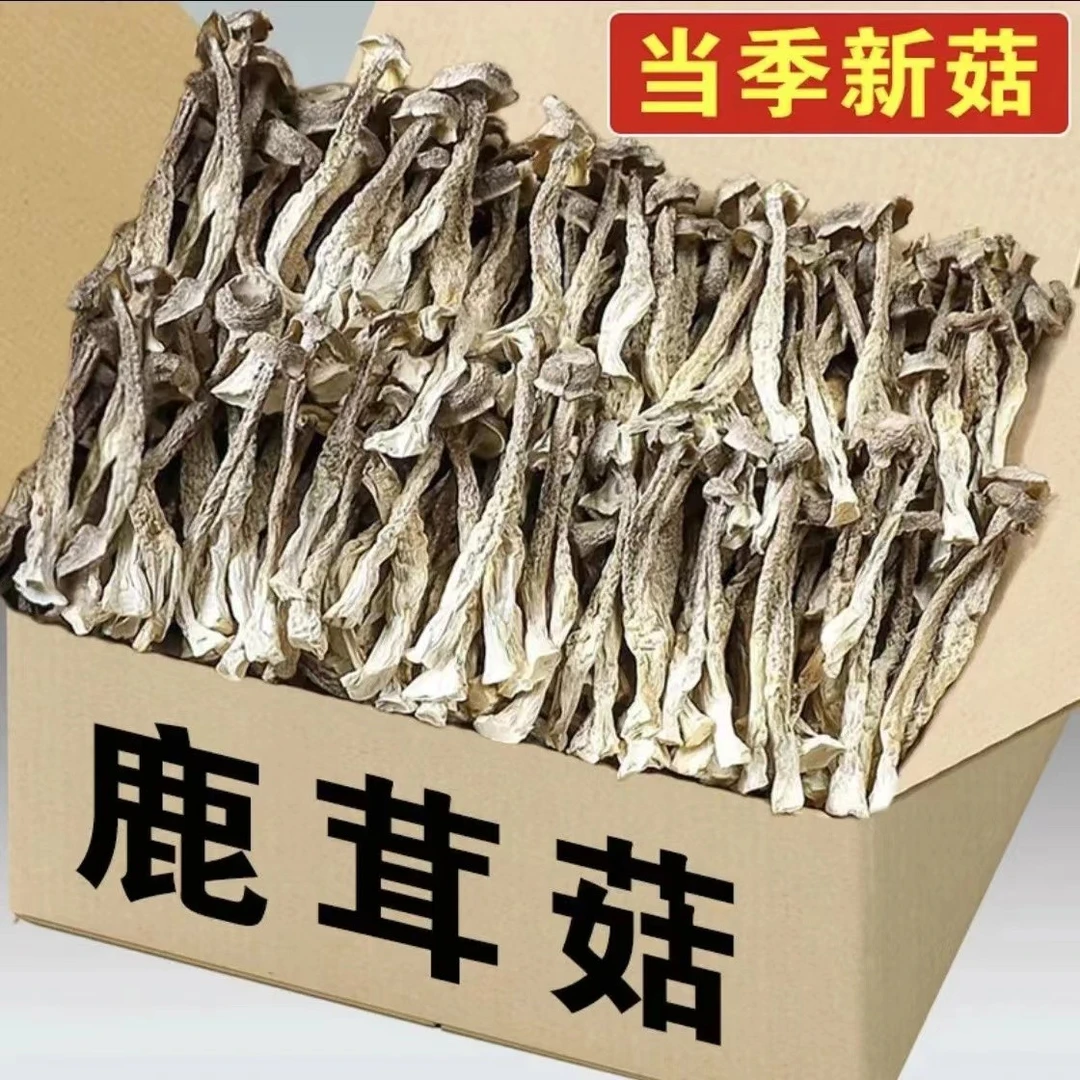 新鲜鹿茸菇干货农家煲汤浓郁食用菌汤包食村古田脆脆菇营养无熏硫