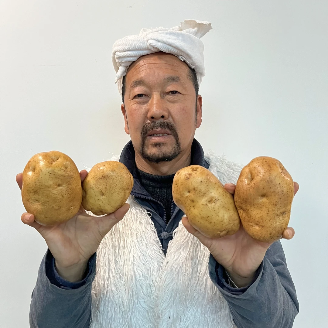 陕北黄皮土豆 老品种土豆 4.8-5斤装 包邮 生长周期长 光照充足