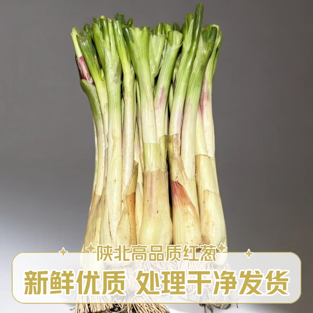 2025陕北新红葱 4斤装高品质新鲜红葱 处理干净发货 陕西红葱榆林