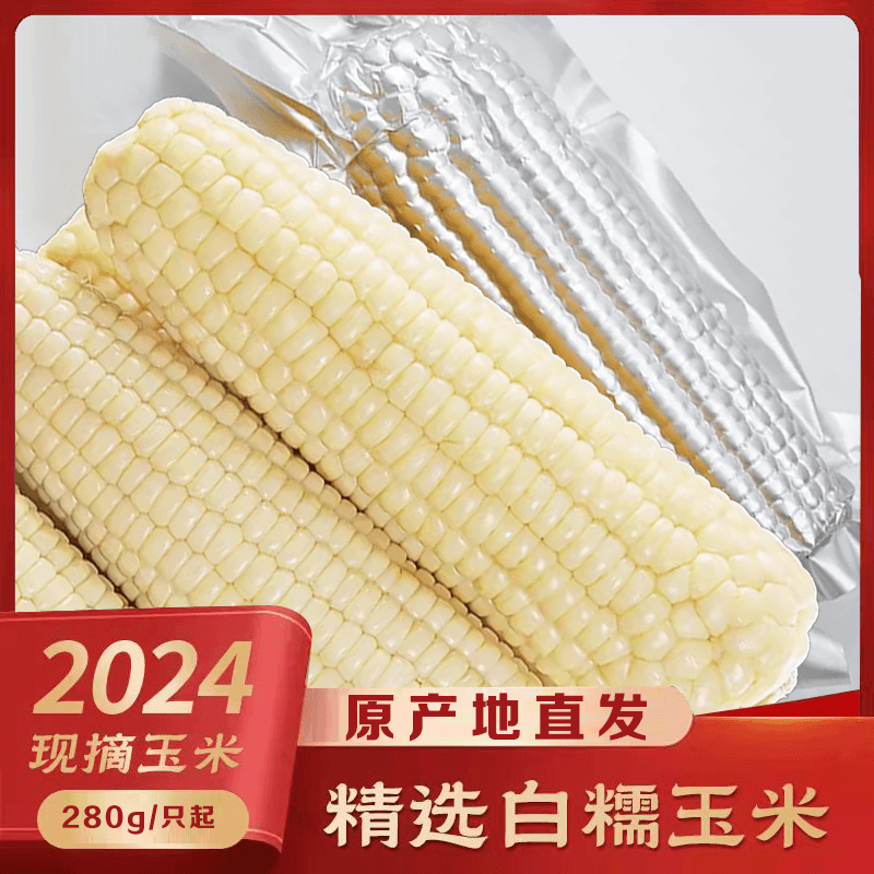 【280g*10根】铝箔装东北白糯玉米 甜糯黏苞谷营养饱满好吃丰富