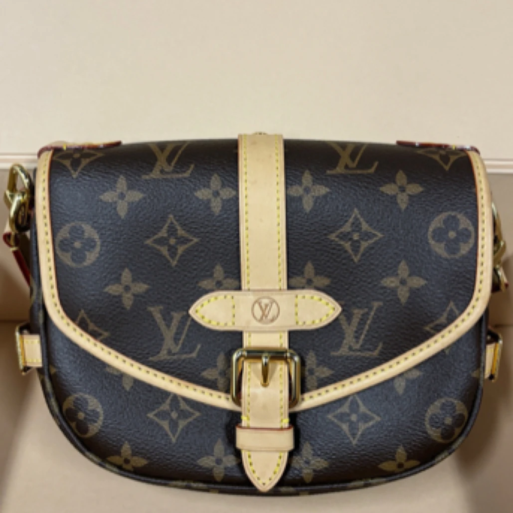 95新 LouisVuitton/路易威登 老花马鞍包双子星 芯片款