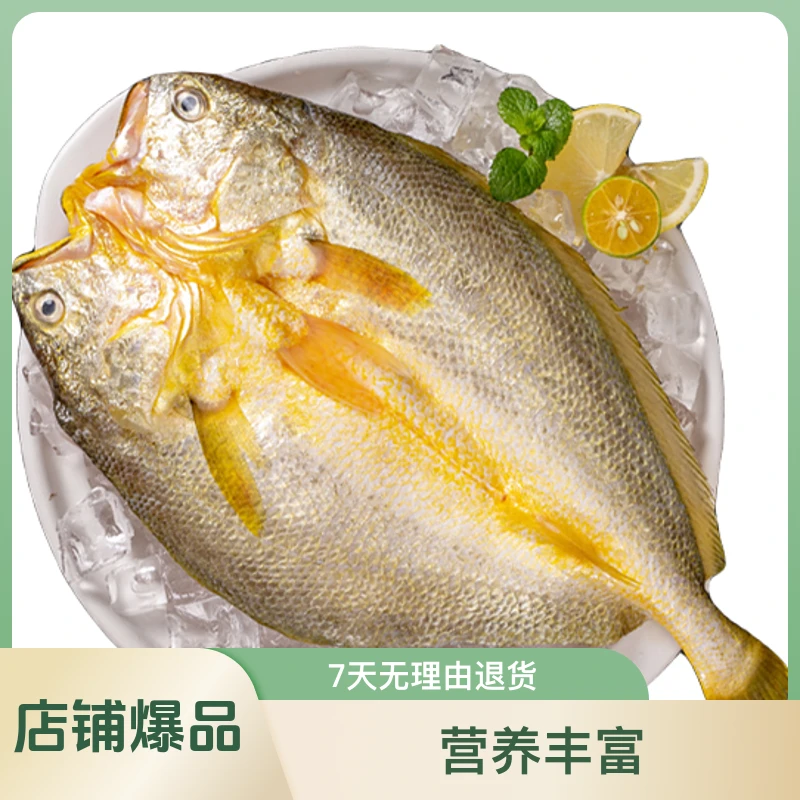 黄鱼鲞大黄花鱼新鲜黄鱼黄鱼鲞宁德黄花鱼大黄鱼霞浦黄花鱼