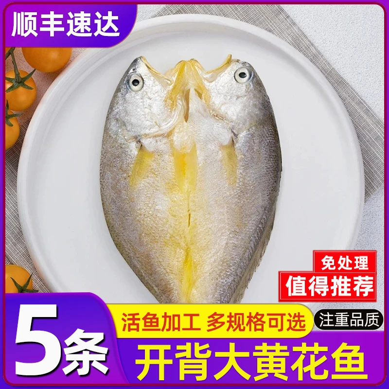 海鲜黄鱼鲞大黄鱼冷冻新鲜霞浦美味鲜冻醇香大海蒜瓣肉顺丰冷链