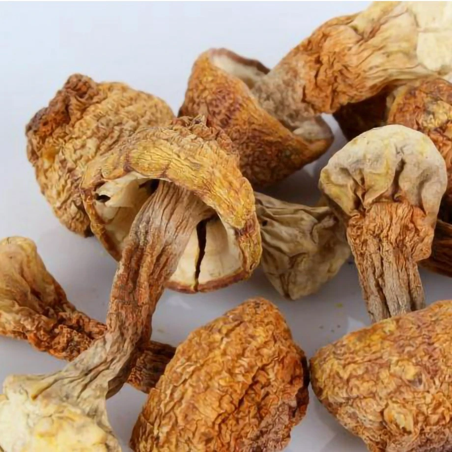 云南姬松茸干货巴西蘑菇滋补煲汤食材无硫熏新鲜食用自然精选原色