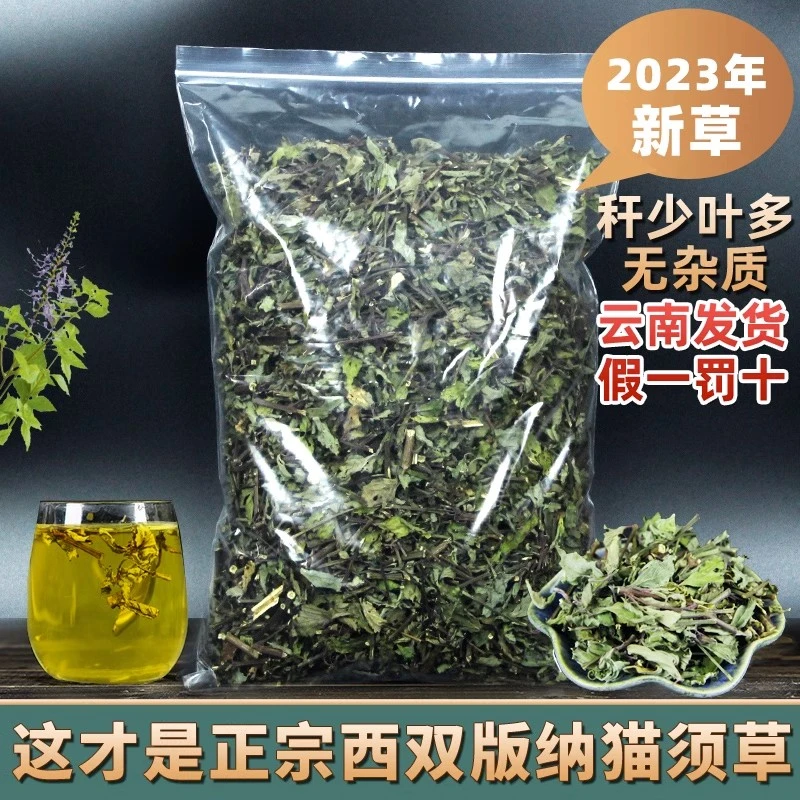 云南西双版纳农家猫须草500克 降酸茶泡水化石草中药材正宗