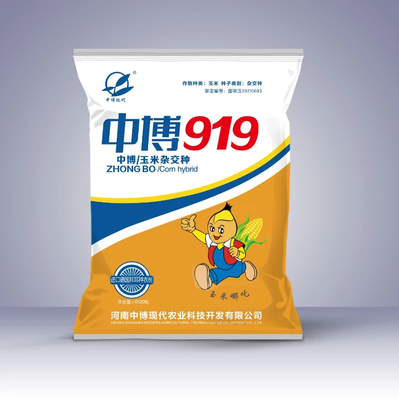 中博919 玉米种 棒大 高抗 抗倒伏