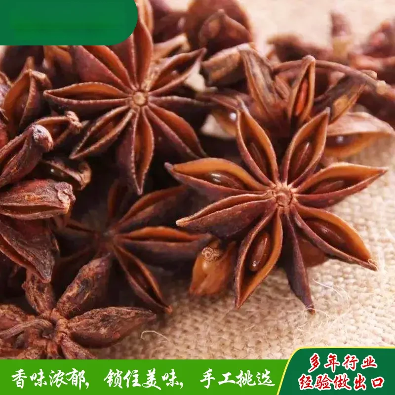 广西八角香料现摘干货香味浓郁大红八角老树大红八角老树Y