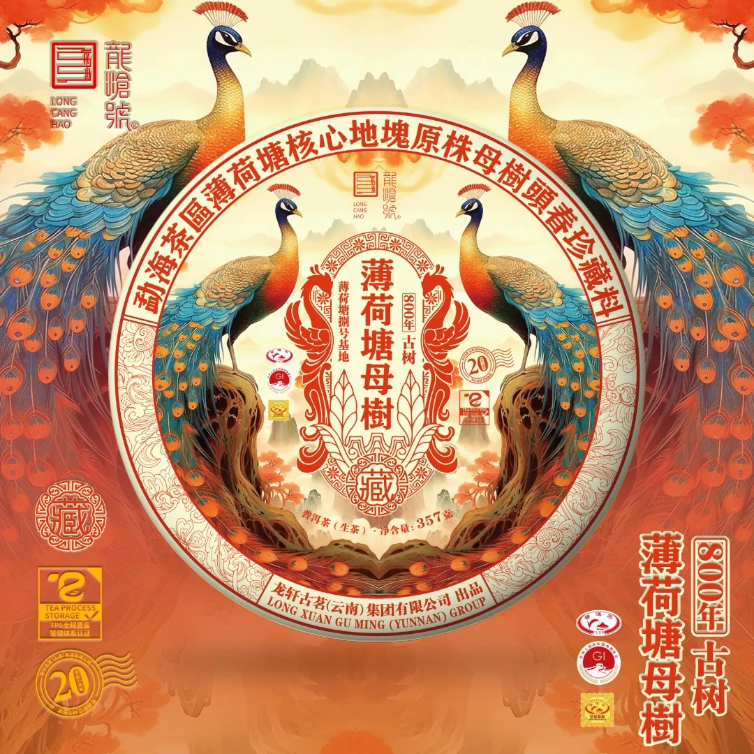 龙沧号【薄荷塘母树】薄荷塘古树普洱生茶357克