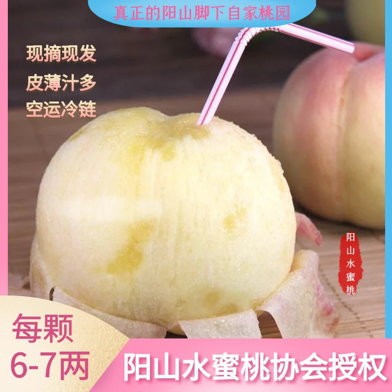顺丰【6-7两6只】无锡阳山水蜜桃香甜爆汁自家桃园现摘现发