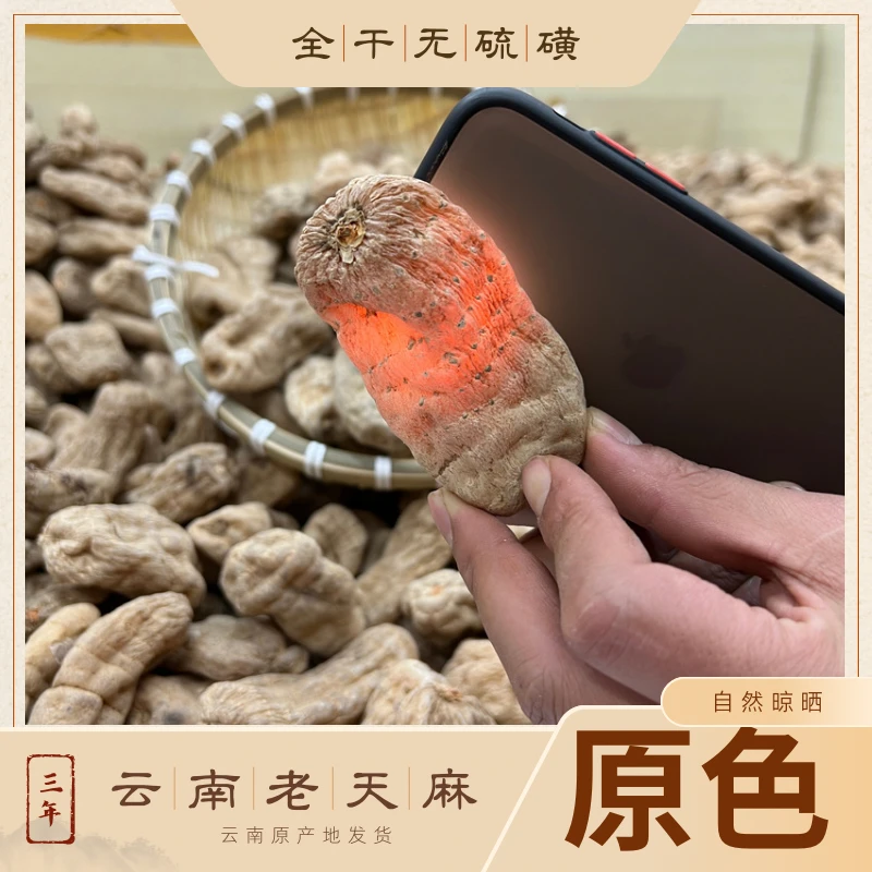 【云南老品种天麻】天麻小王子家天麻昭通小草坝天麻搭配川芎白芷煲