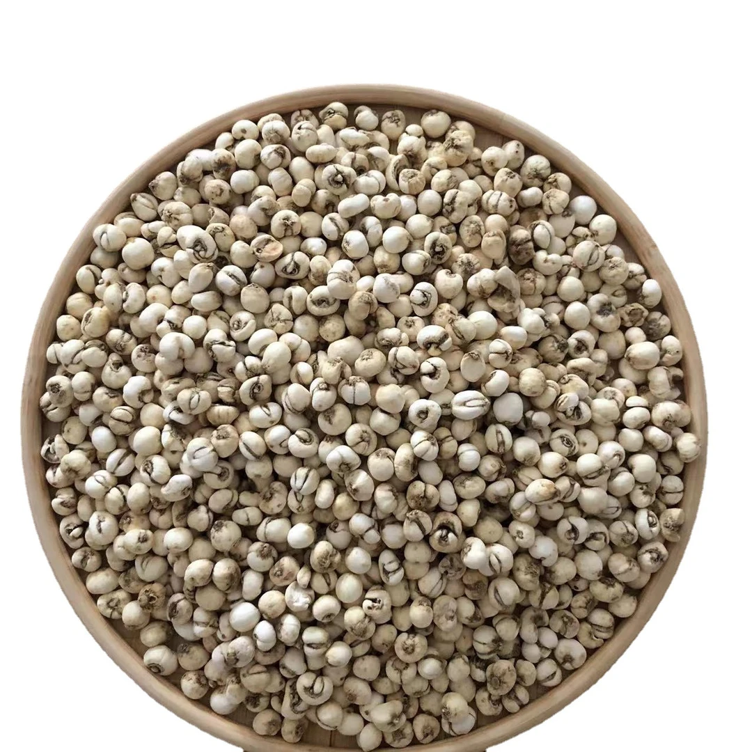 《贝母》小贝母100g起拍跟枸杞泡水