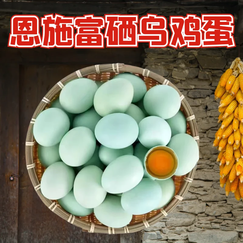 恩施富硒乌鸡蛋黑鸡蛋谷物鲜鸡蛋可生食正宗笨鸡蛋跑山