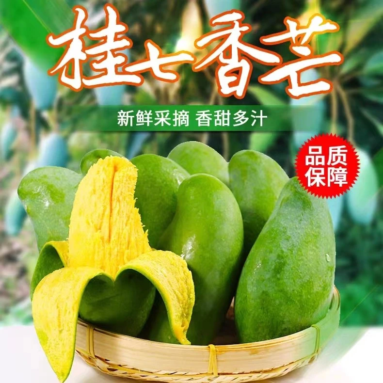 （花皮桂七）正宗广西百色田东桂七香芒5斤/10斤高山老树花皮应季