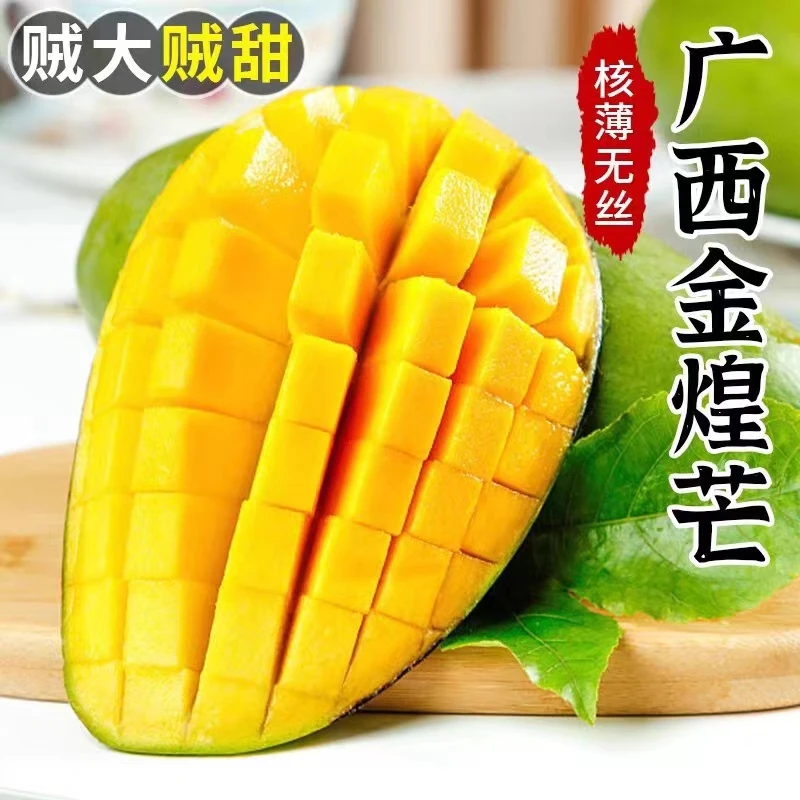 【大青芒】越南大青芒9斤5斤当季新鲜水果甜心芒现摘无丝核薄青芒果