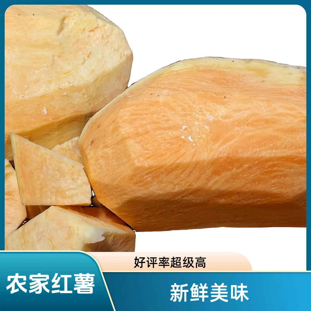 益阳沅江农家红薯
