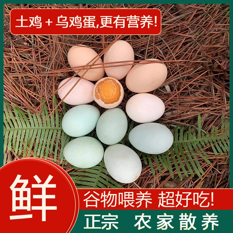 鸡蛋新鲜正宗农家散养无抗虫草谷物鸡蛋柴笨乌绿壳土鸡蛋